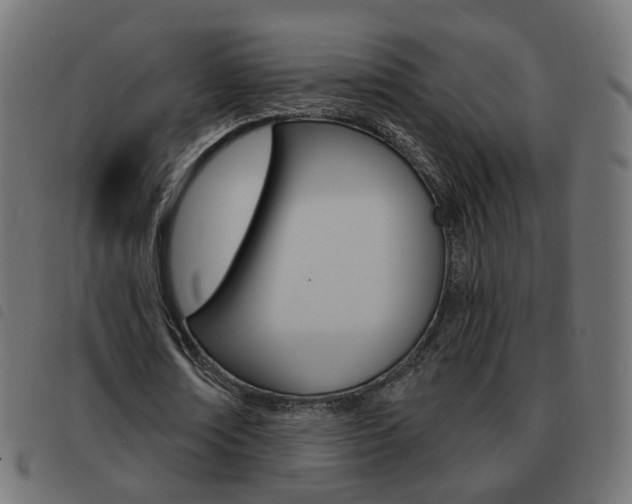 X0000093580674200710150958