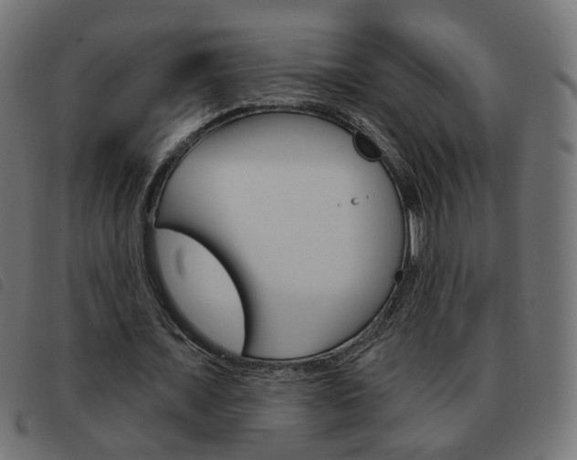 X0000093580675200710150958
