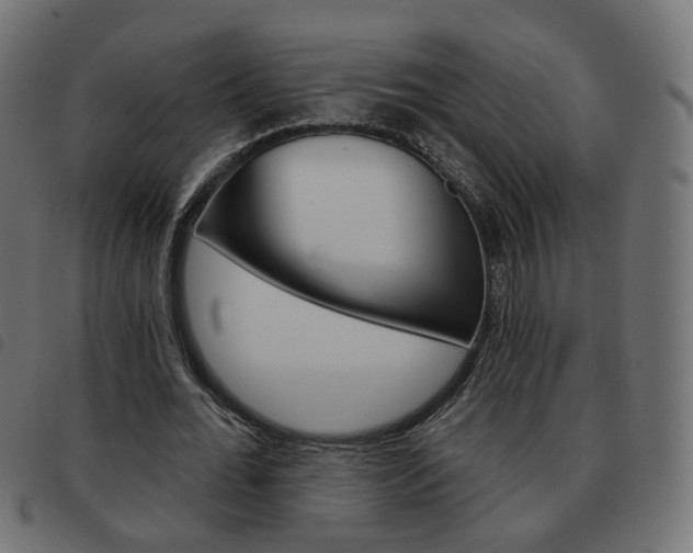 X0000093580676200710150958