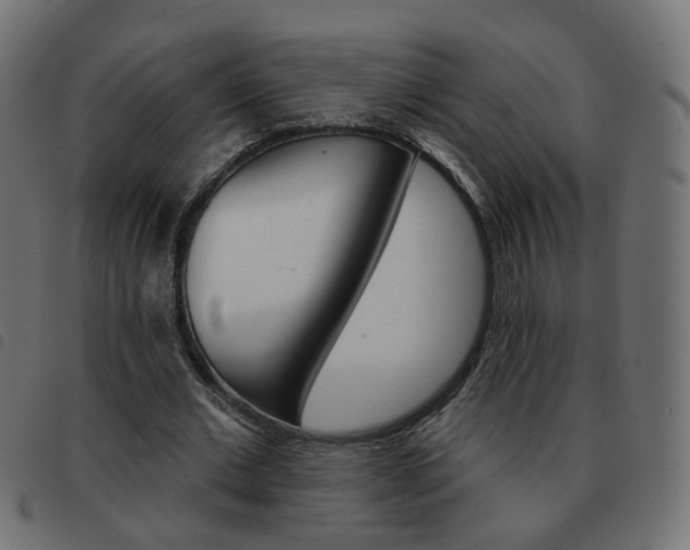 X0000093580677200710150958