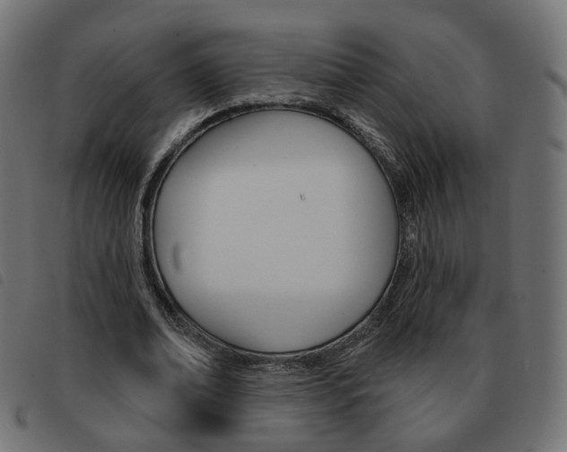 X0000093580678200710150958