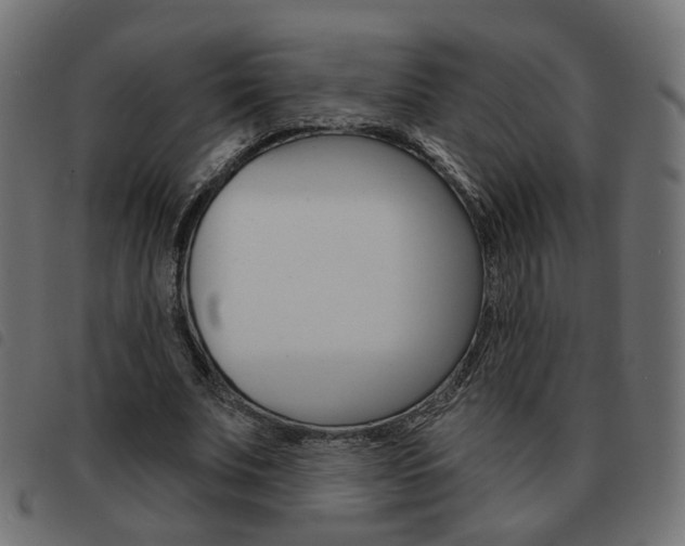 X0000093580679200710150958