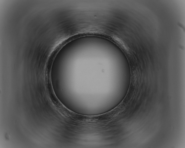 X0000093580680200710150958