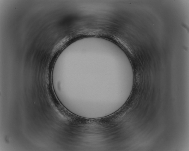 X0000093580682200710150958