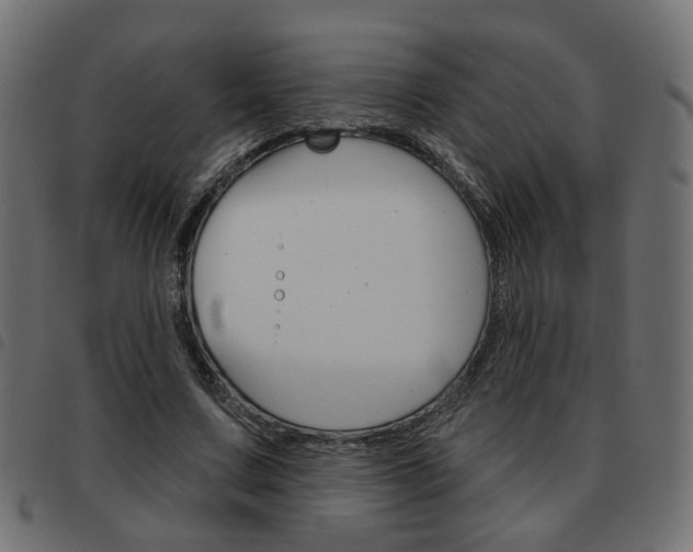 X0000093580683200710150958