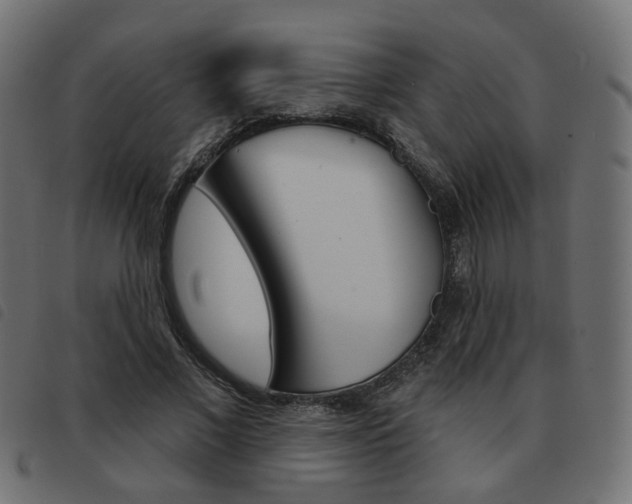 X0000093580685200710150958