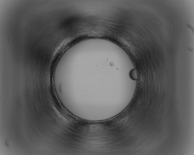X0000093580686200710150958