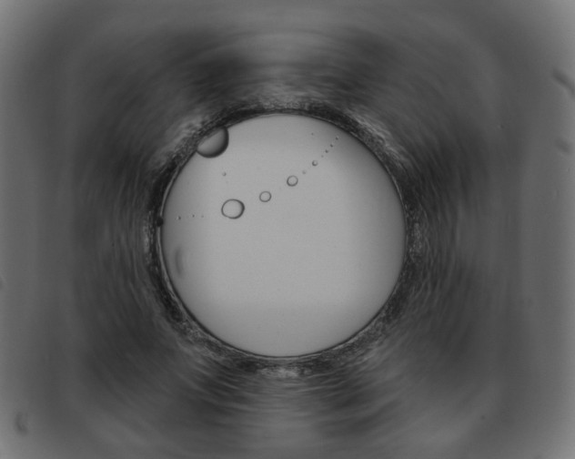 X0000093580687200710150958