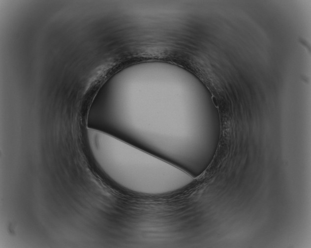 X0000093580688200710150958
