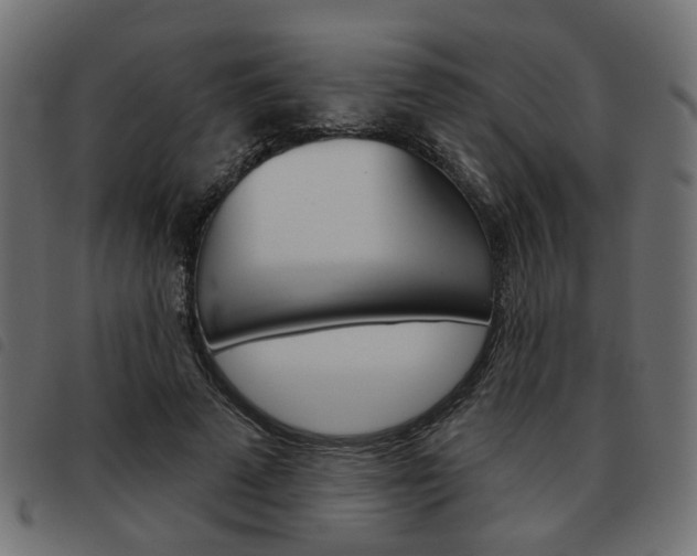 X0000093580689200710150958