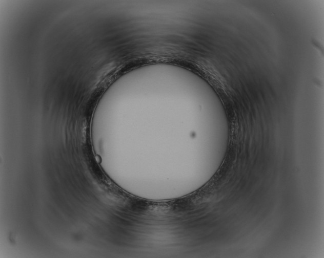 X0000093580694200710150958