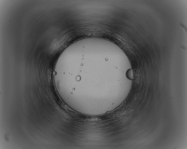 X0000093580695200710150958