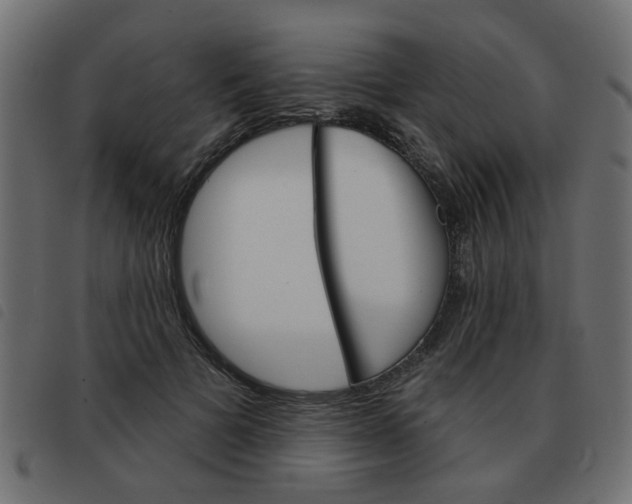 X0000093580697200710150958