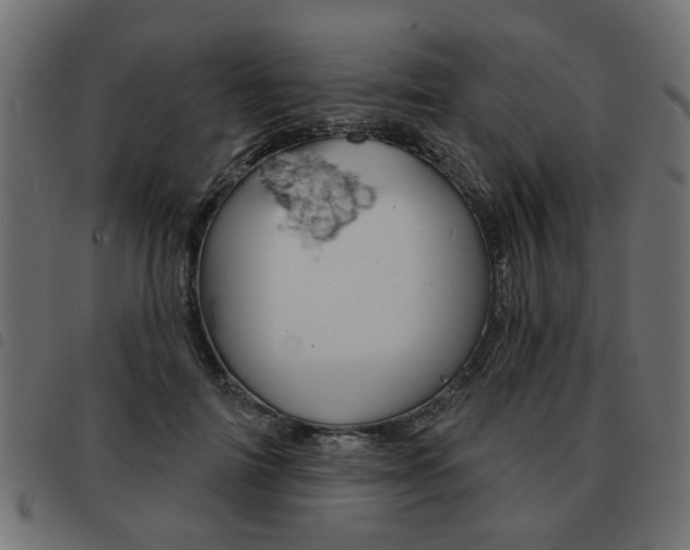 X0000093580698200710150958