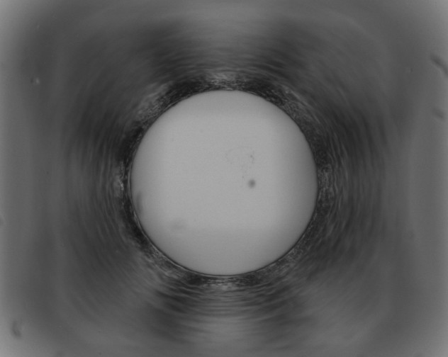 X0000093580702200710150958