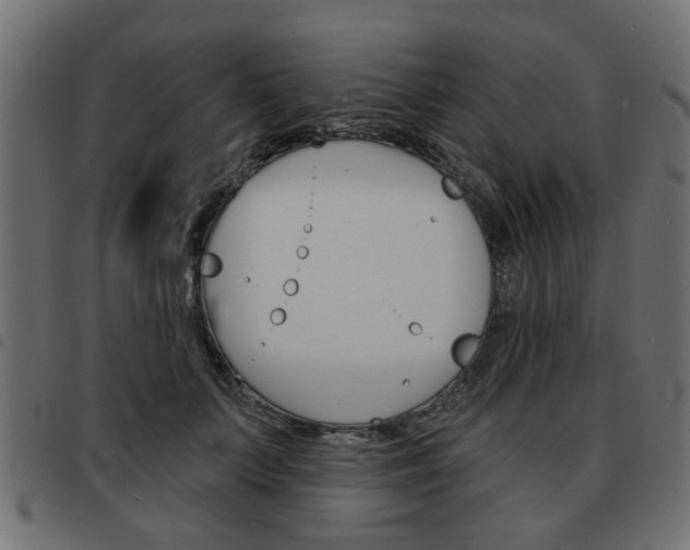 X0000093580703200710150958