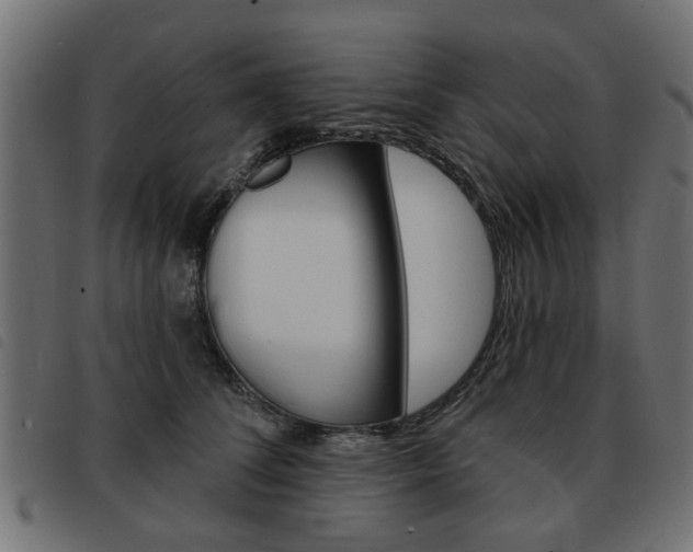X0000093580708200710150957