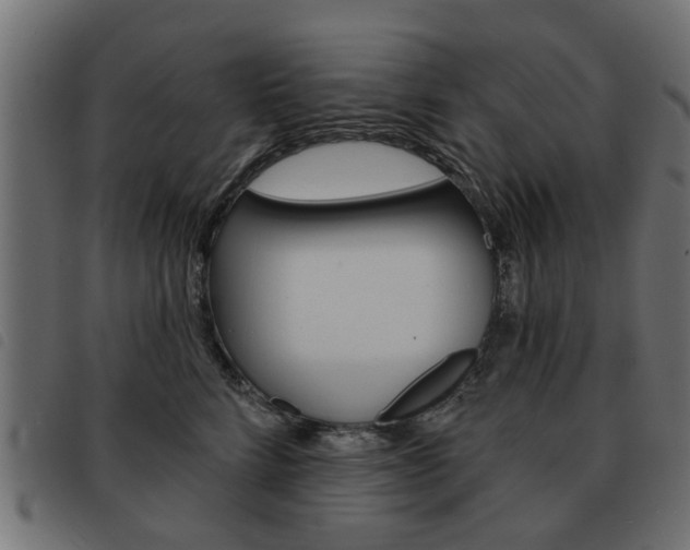 X0000093580712200710150957