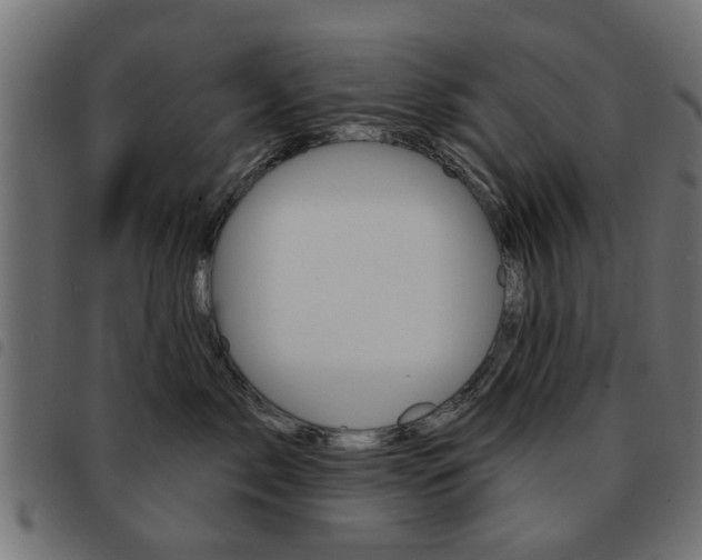 X0000093580717200710150957