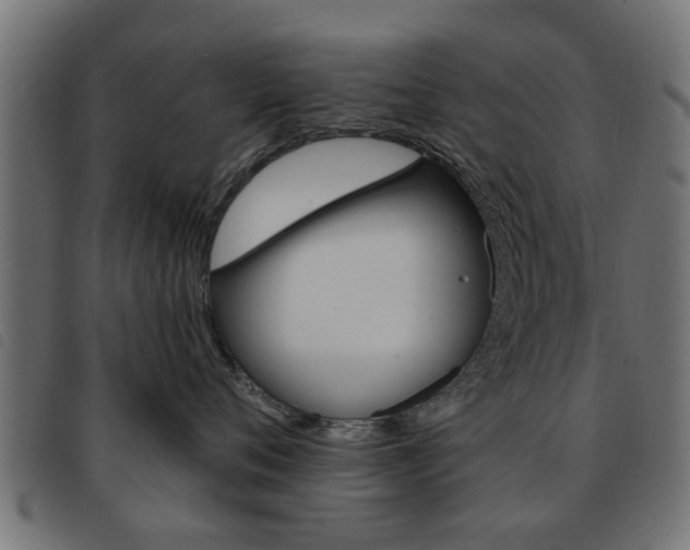 X0000093580720200710150957