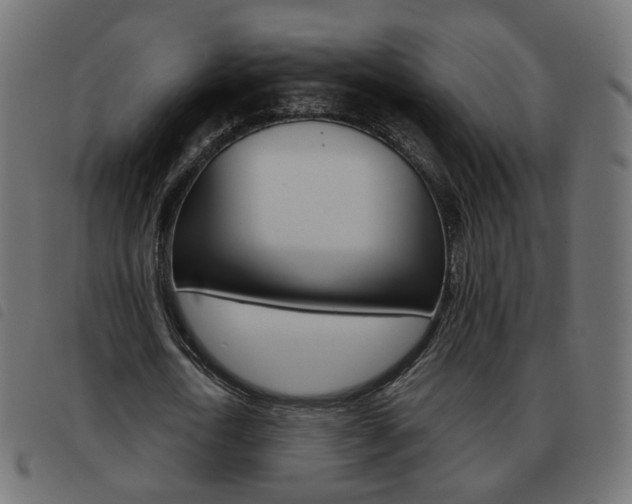 X0000093580722200710150957