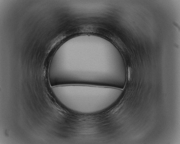 X0000093580723200710150957