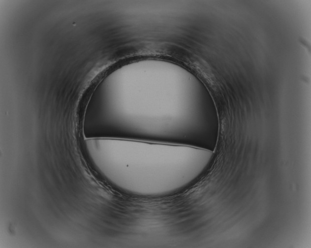 X0000093580724200710150957