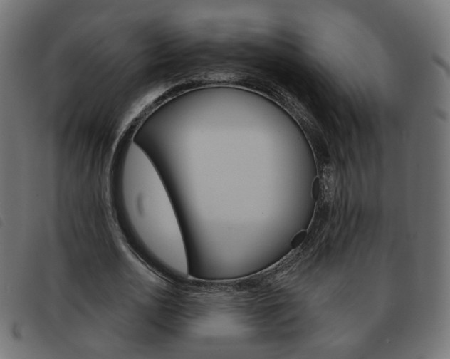 X0000093580726200710150957
