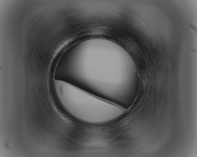 X0000093580728200710150957