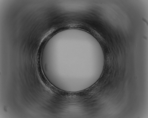 X0000093580730200710150957