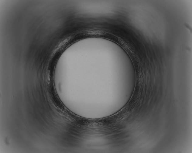 X0000093580731200710150957