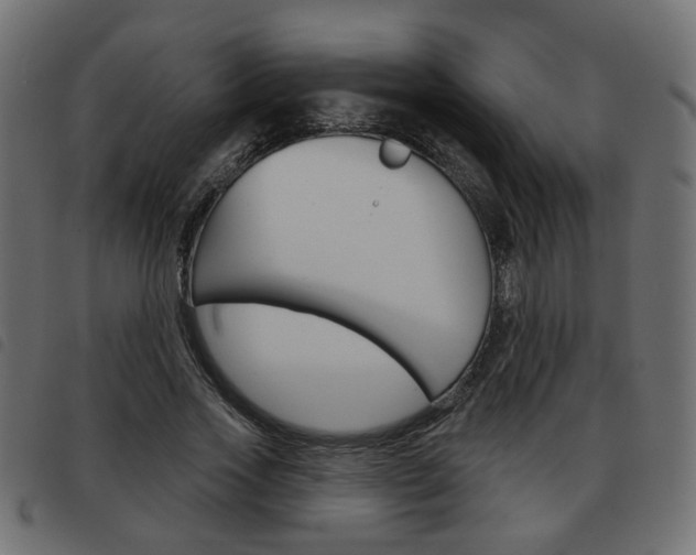 X0000093580733200710150957