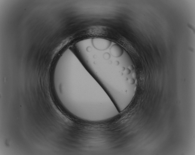 X0000093580734200710150957