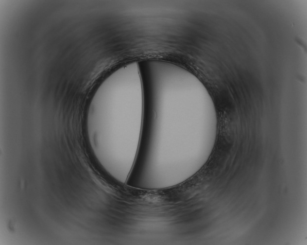 X0000093580742200710150957