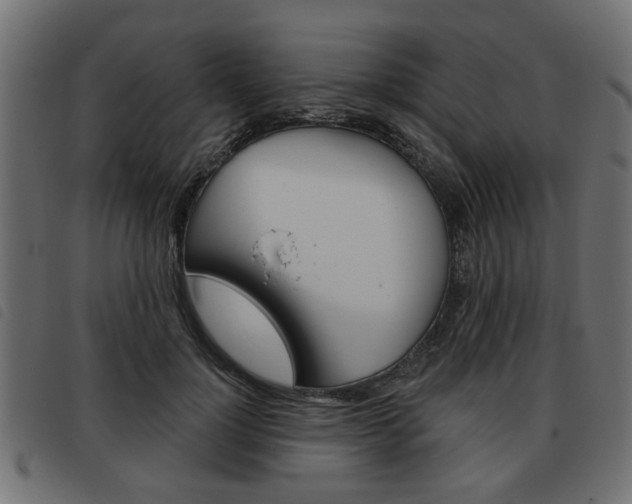 X0000093580748200710150957