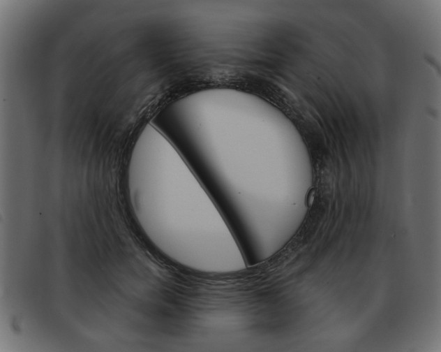 X0000093580750200710150957