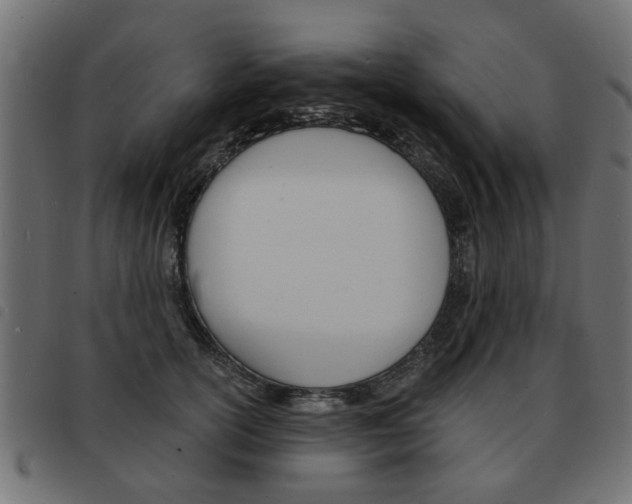 X0000093580754200710150957