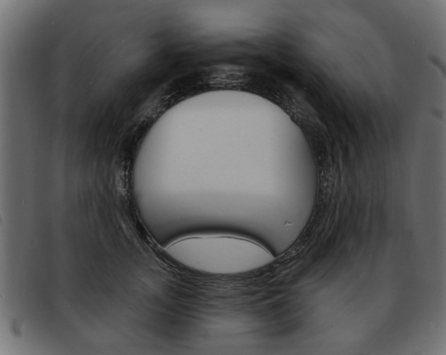 X0000093580755200710150957