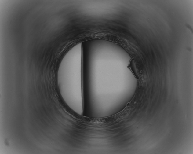 X0000093580756200710150957