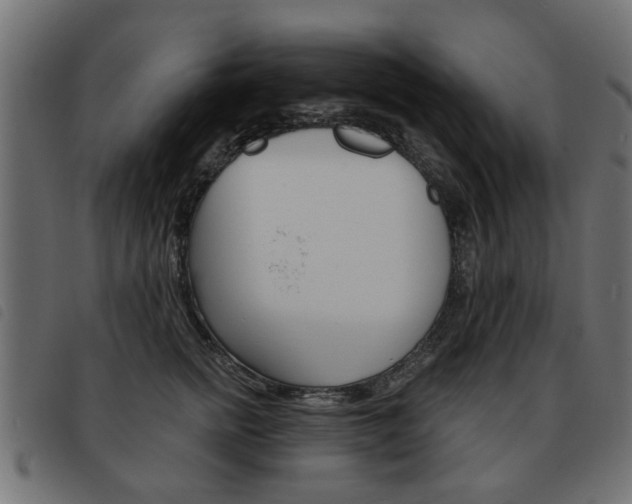 X0000093580758200710150957