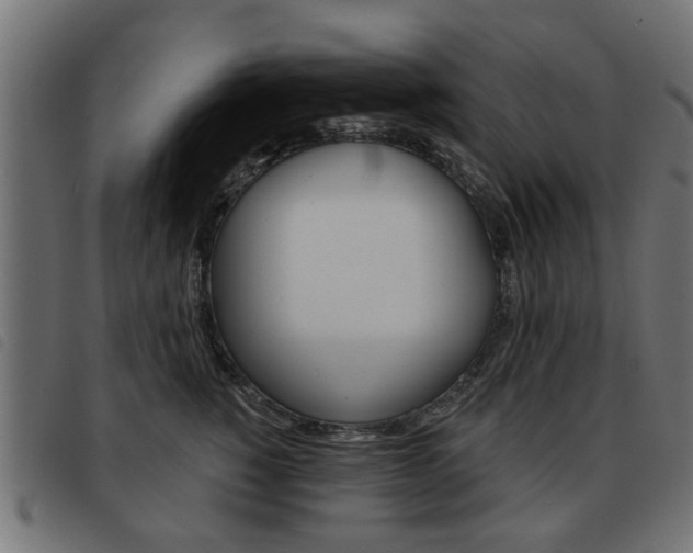 X0000093580760200710150957