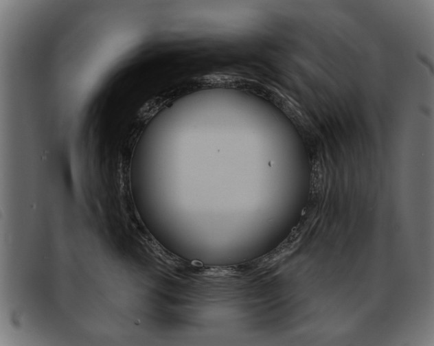 X0000093580762200710150957