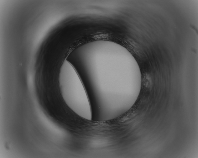 X0000093580763200710150957