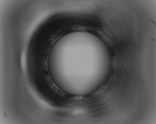 X0000093580764200710150957