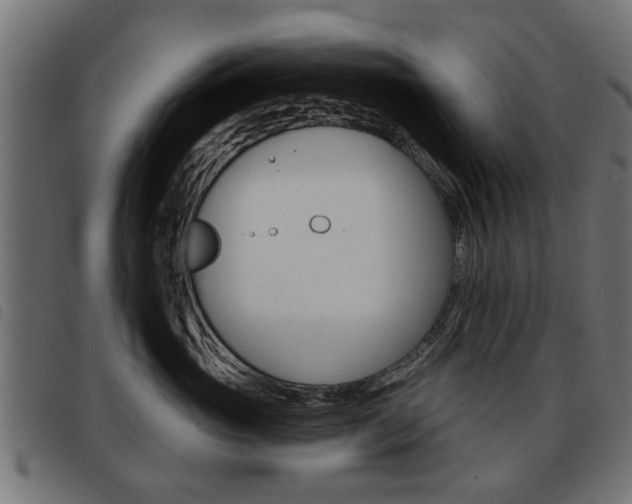 X0000093580765200710150957