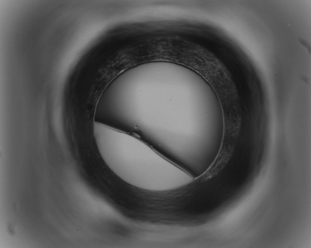 X0000093580766200710150957