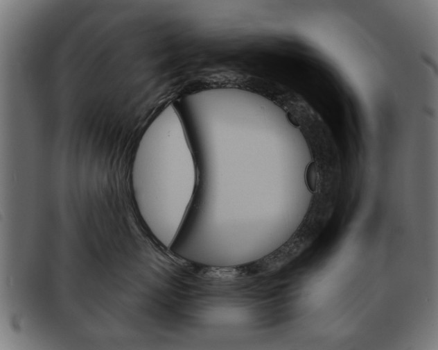 X0000093580767200710150957