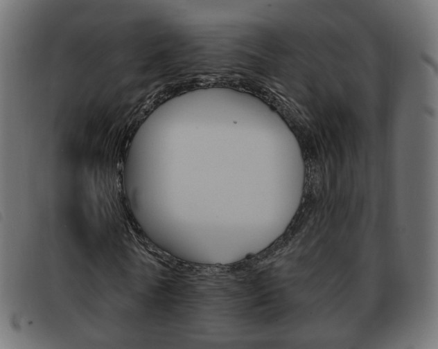 X0000093580770200710150957