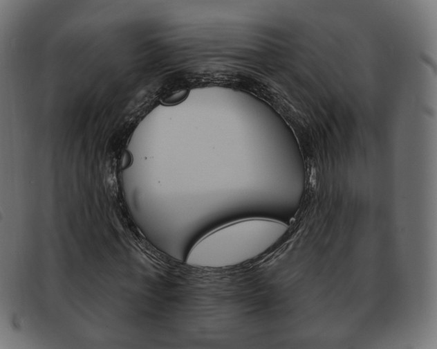 X0000093580771200710150957