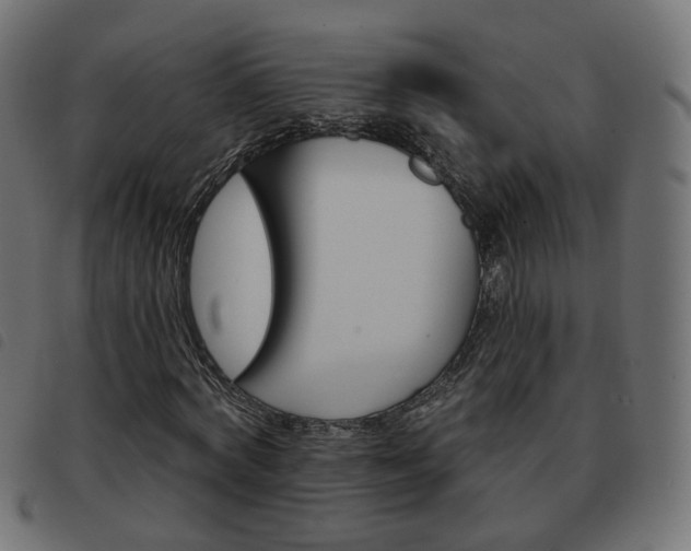 X0000093580772200710150957